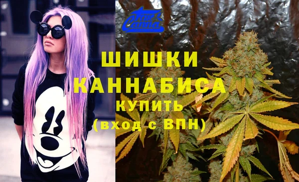 дмт Балахна