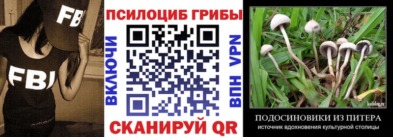 Псилоцибиновые грибы ЛСД  мега tor  Верхняя Салда 